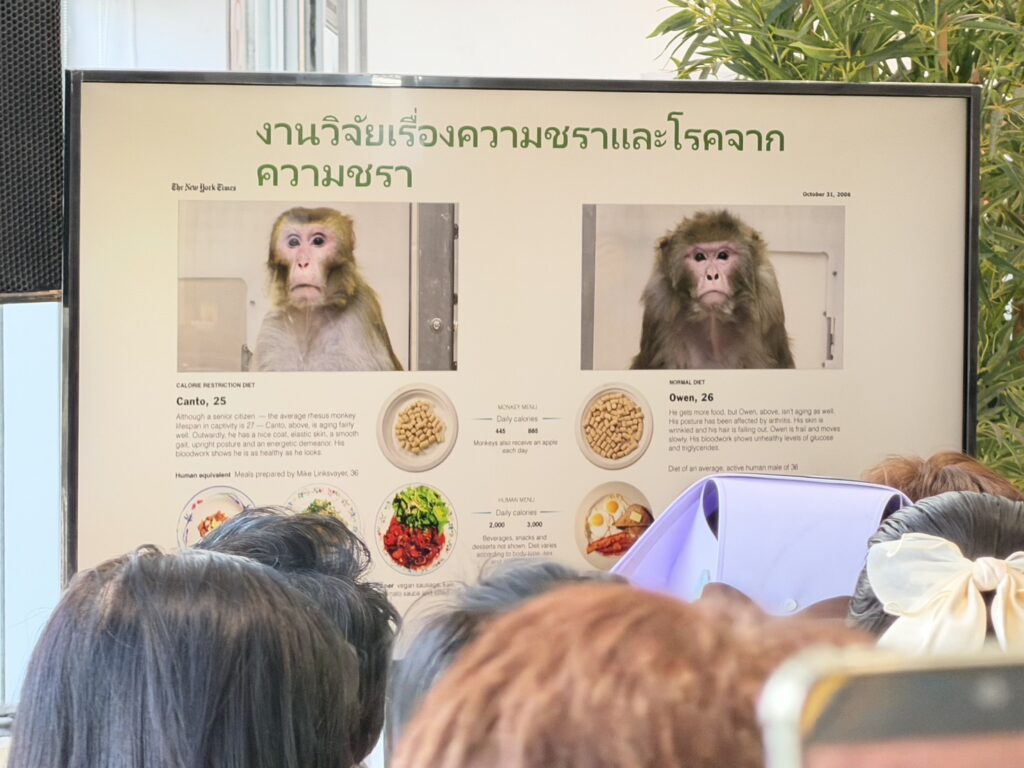 ภาพงานวิจัยเรื่องความชราและโรคจากความชรา