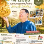 งานเปิดสวนตาลคู่ สวนอินทผลัมบาฮีเหลือง อุดรธานี ฤดูกาลเก็บเกี่ยว 2569