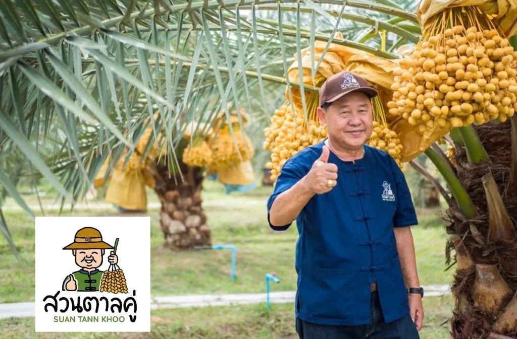สวนตาลคู่ อุดรธานี โครงการปลูกอินทผลัมสู่ Wellness Center
